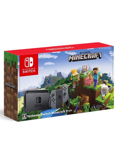 Nintendo Switch Minecraft Edition Bundle